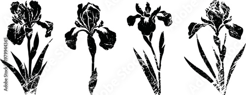 Four black and white iris flower silhouettes with leaves on white background
