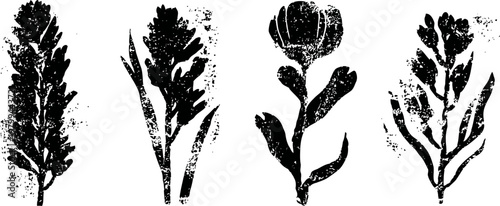 four black botanical silhouettes of various herb and flower stems isolated on white background