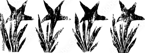 four black starfish silhouettes with textured patterns and seaweed on a white background