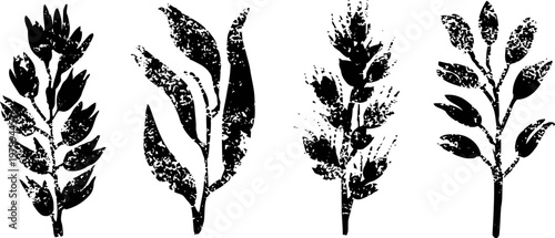 black silhouette of four distinct botanical branches with leaves and buds in rustic textured