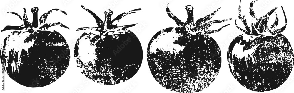 Obraz premium Vintage black and white illustration of four tomatoes in a row with texture shading