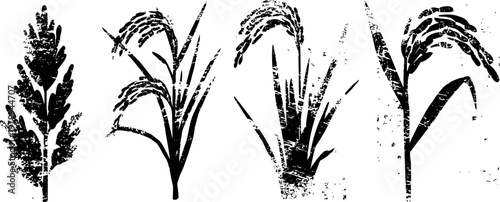 four detailed grass and cereal crop silhouettes with leaves and seed heads