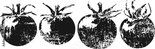 Vintage black and white illustration of four tomatoes in a row with texture shading