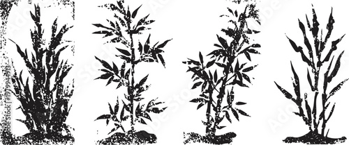 Four different black bamboo silhouettes isolated on white natural botanical tropical plants vector set