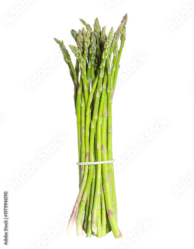 Fresh green asparagus bunch