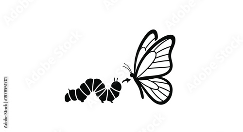 Elegant Butterfly Silhouette Vector Illustration Isolated on White Background for Nature Design Wildlife and Decorative Graphic Concepts