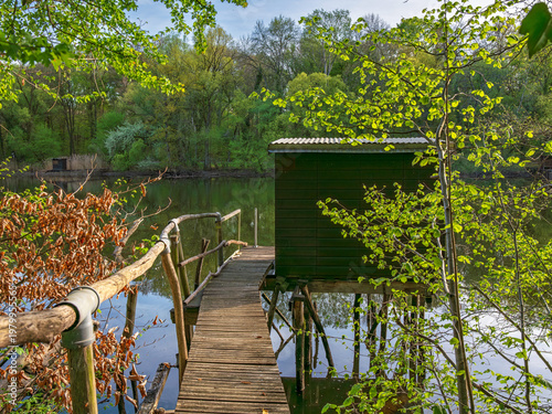 Frühling am Altrhein, Jockgrim, Rheinland-Pfalz, Deutschland
