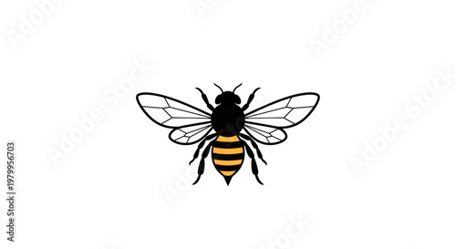 A stylized bee with black and yellow stripes and transparent wings is depicted against a white.