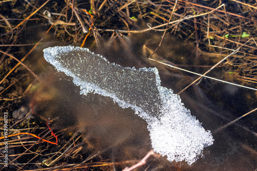 Foto Winter's last breath: sparkling granular ice slowly yielding to spring's warmth