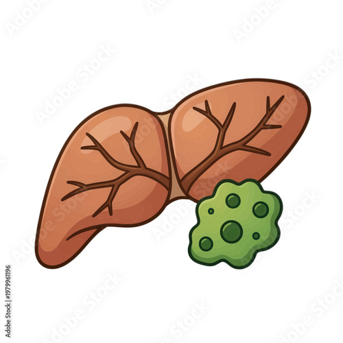 Liver with Gallbladder Vector Icon