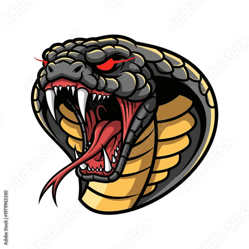 Furious Cobra Head with Fangs and Tongue Out.
