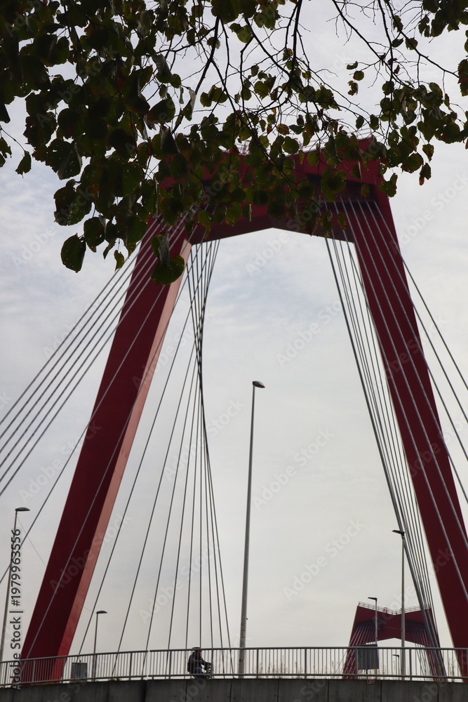 Obraz premium cable car bridge