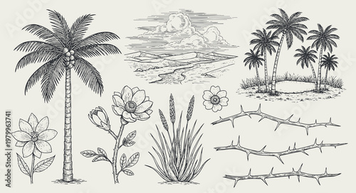 Hand-drawn desert elements collection with cactus, agave, bull skull, mountains, sand dunes, and sun in a retro black and white engraving sketch style