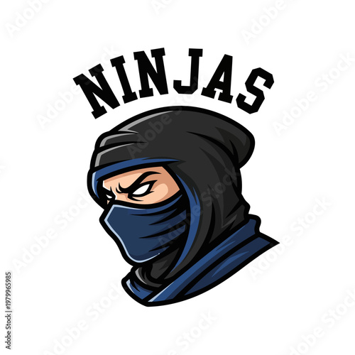 Intense Ninja Warrior with Hood and Mask.