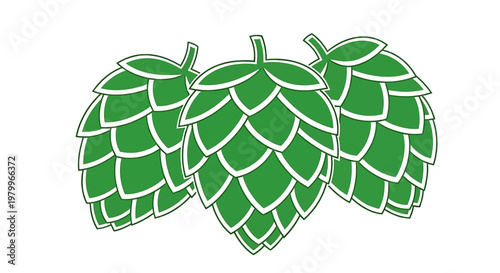 Green hop cones illustration, vector graphic of beer brewing ingredient