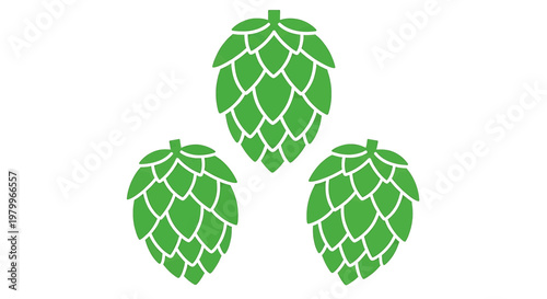 Three green hop cones