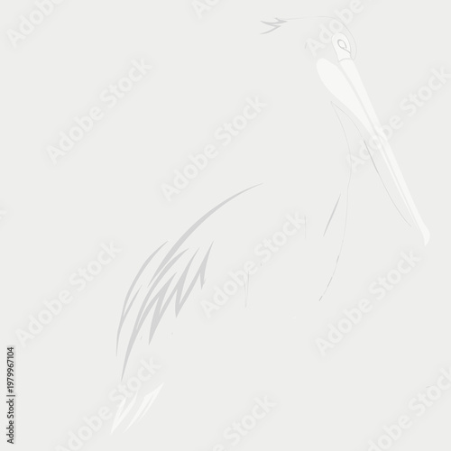 A large gray bird with a long beak