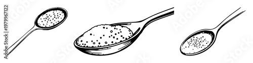 Coffee spoon set with hand-inked organic illustration of a spoon holding sugar crystals on white background featuring coffee spoon, sugar crystals, white background with line art and minimalist