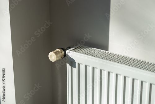 Home radiator heater