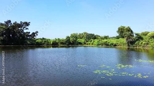 Scenic view of a calm natural pond surrounded by lush green trees under a clear blue sky.