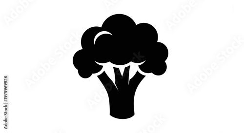 Black Broccoli Icon Silhouette on White Background