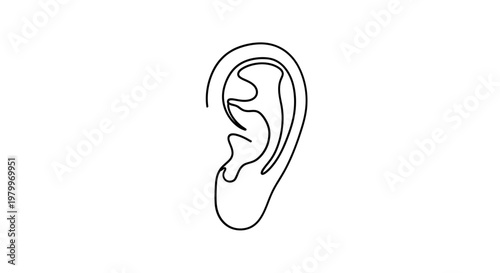 Minimalist single line drawing of a human ear on white background
