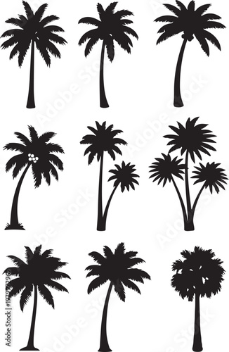 Collection of black silhouette palm trees.