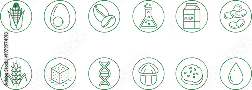 Food allergen and ingredient line icon set featuring corn egg coffee milk peanuts wheat sugar dna hazelnut cookie and oil drop for healthy labels.
