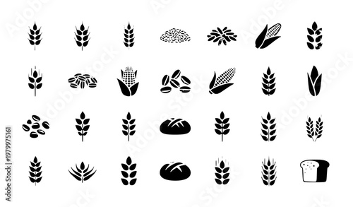 Cereals and grain icon set with wheat rice corn oats rye barley symbols grey flat vector isolated on white background
