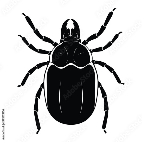 black beetle insect silhouette vector illustration isolated on white