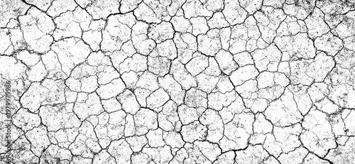 Fotografie High contrast black and white cracked earth texture