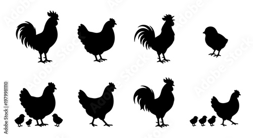 Chicken silhouette vector set, rooster and hen farm animal icons, black poultry bird silhouettes, 8 elements for agriculture and food branding