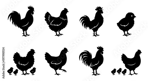 Black chicken silhouette collection, 8 vector farm bird icons, rooster and hen silhouettes with baby chicks, poultry livestock graphics for butchery logos