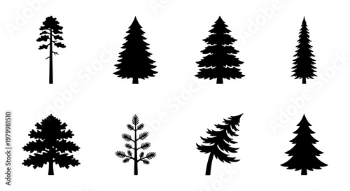 Coniferous tree silhouettes set, 8 black pine and spruce vector icons, evergreen forest timber elements for outdoor nature branding