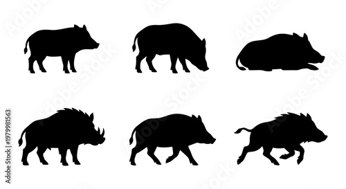 Wild boar silhouette collection, set of 6 feral pig and forest hog vector icons, black animal shapes in standing and running poses