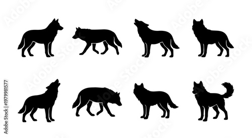 Wolf silhouette collection, set of 8 wild animal vector icons, howling and walking timber wolf shapes, black canine predator silhouettes on white background
