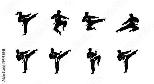 Martial arts silhouettes set, karate and taekwondo fighter poses, 8 black vector icons of athletes in combat positions, kickboxing and judo action figures