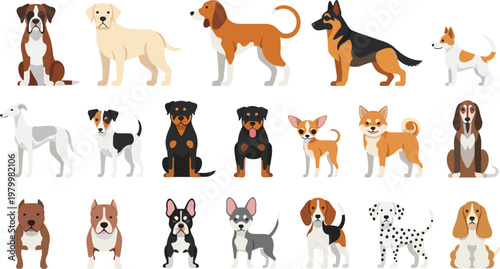 Various Dog Breeds Cartoon Set Featuring Domestic Puppies and Pet Animals, Cute Canine Characters Collection, Flat Vector Illustration for Stickers, Apps, and Design Use.