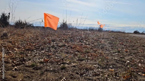 utility flags waving. orange marking flags commonly used in land surveying, construction, or utility locating blowing in the wind. abstract background.