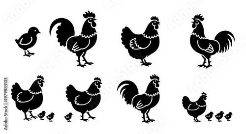Black chicken silhouette vector set, rustic rooster and hen farm animal icons, 8 poultry bird elements for organic food branding and butcher shop logos