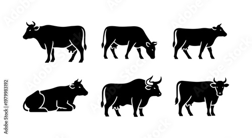 Black cow silhouettes set of 6 vector icons, farm animal cattle collection in various poses, dairy cow and bull profile shapes for butchery and agriculture