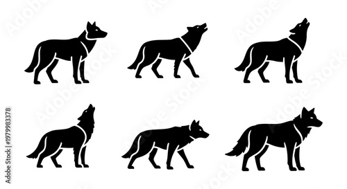 Obraz na plátně Black wolf silhouettes set, wild animal icons in various poses, howling wolf and