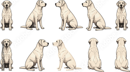 Natural dirt ground texture with scattered debris and dry soil surface creating rustic outdoor background for environmental design