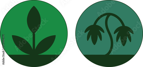 Circular icons featuring a healthy sprouting plant alongside a drooping wilted flower for environmental education purposes