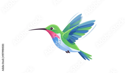 Colorful hummingbird vector illustration hovering isolated on white background for nature and wildlife design