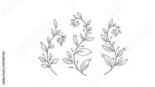 Elegant hand drawn floral branches with delicate leaves and minimalist botanical details on a clean white background.