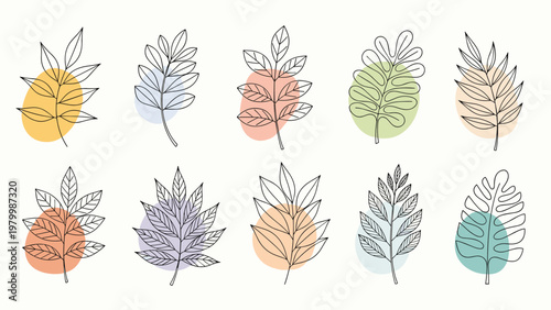 Artistic row of diverse leaf branches in black line art each superimposed over a different soft colored oval shape.