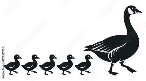 Photos Canada Goose Family Silhouette with Mother and Goslings Following in a Row, Lead