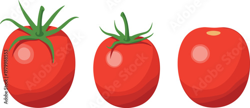Set of fresh red tomatoes in different styles including whole and stem variations isolated organic vegetable vector illustration collection
