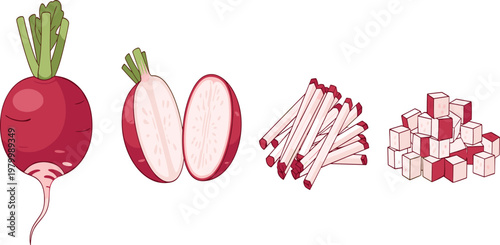 Set of fresh radish vegetable in whole sliced sticks and diced forms isolated healthy organic food vector illustration collection